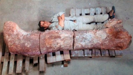 Hallan en Chubut fósiles del dinosaurio más grande del mundo 