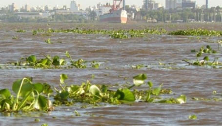 Volvió a llover en Brasil: el Paraná podría subir más