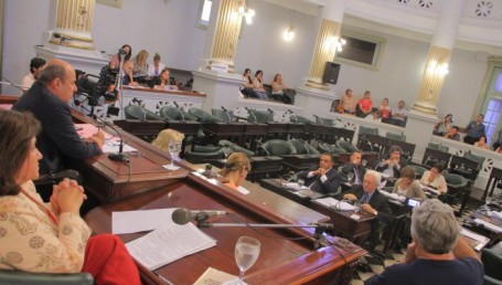Senado fijó audiencia pública para tratar el pliego de Panseri