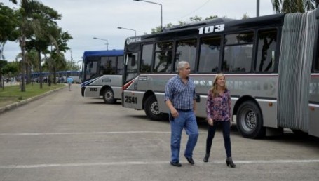 Habrá Transporte Urbano gratuito para trasladar a los votantes