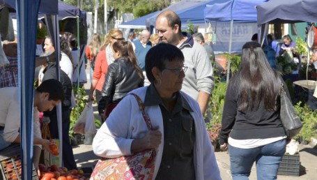 Mercados Populares: Hoy en plaza La Cruz y plazoleta Evita