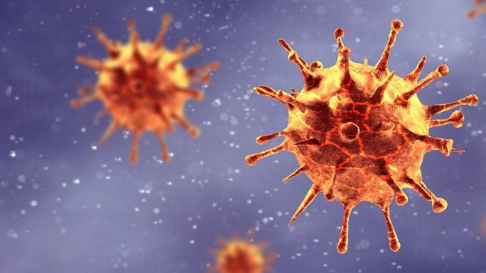 Más de 9300 nuevos contagios de coronavirus en el último día de agosto
